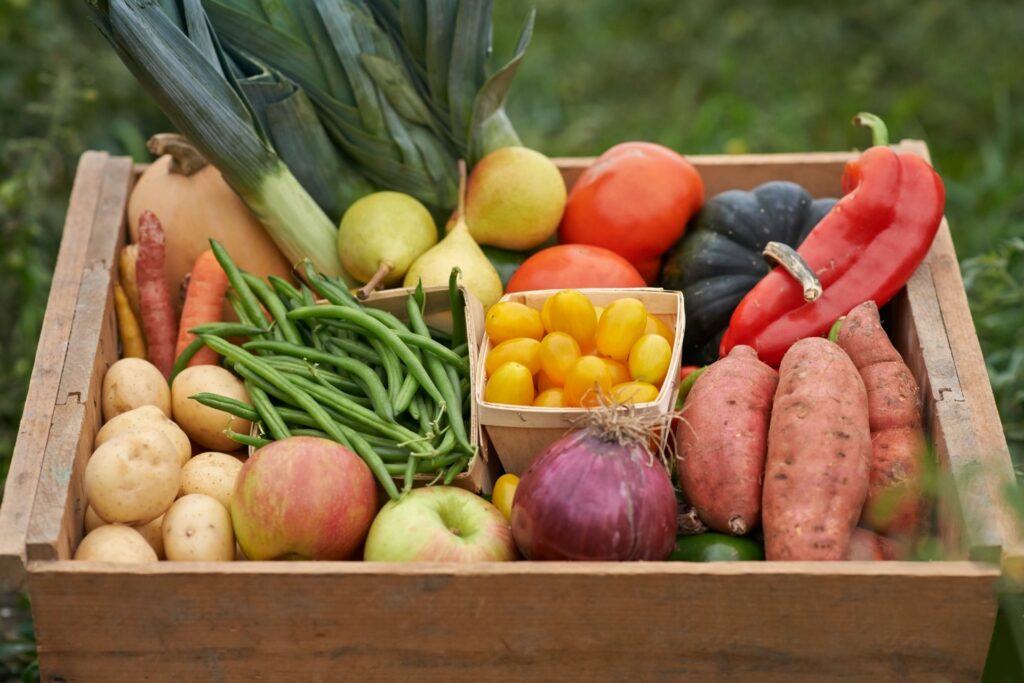 dia mundial del medioambiente. consumir alimentos de temporada