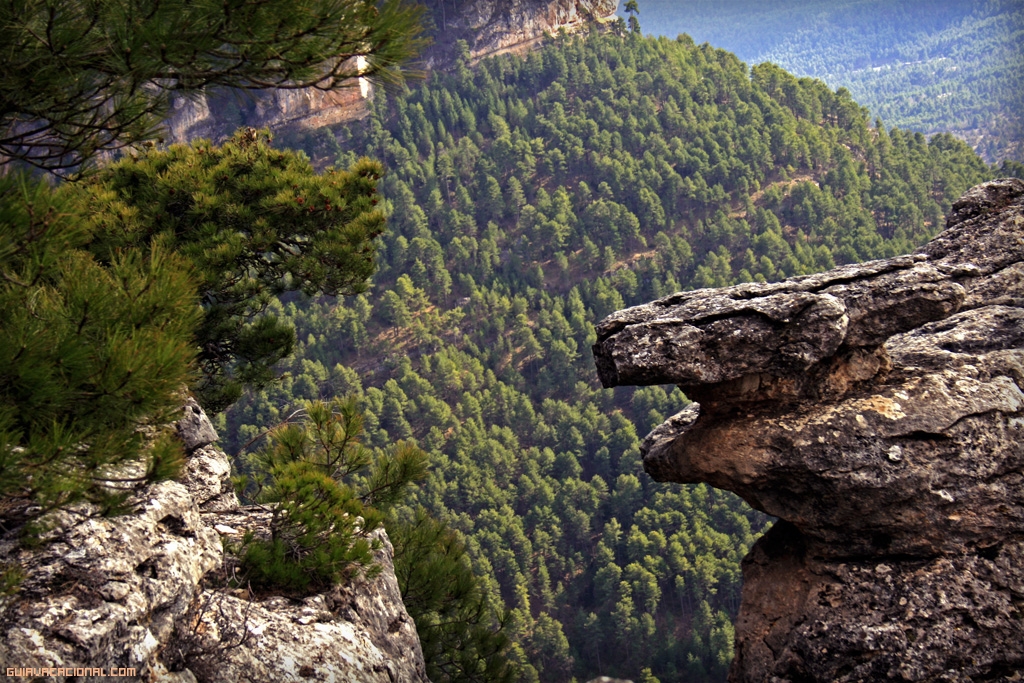 Serrania-de-Cuenca-vacaciones