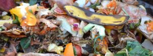 Residuo orgánico que se convierte en compost.