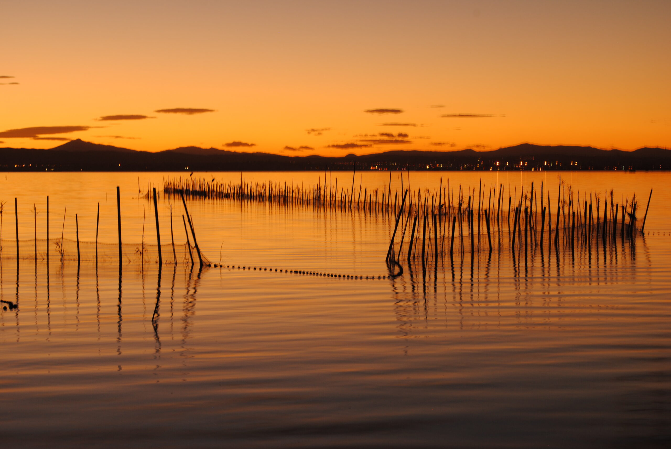 parajes-naturales-de-valencia-y-castellon-albufera-de-valencia