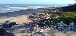 Además de reducir los plásticos de un solo uso, es fundamental realizar campañas de limpieza de playas y océanos.