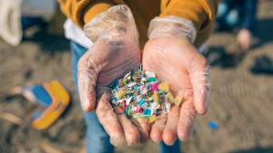 Los microplásticos son un grave problema, y más en el agua.