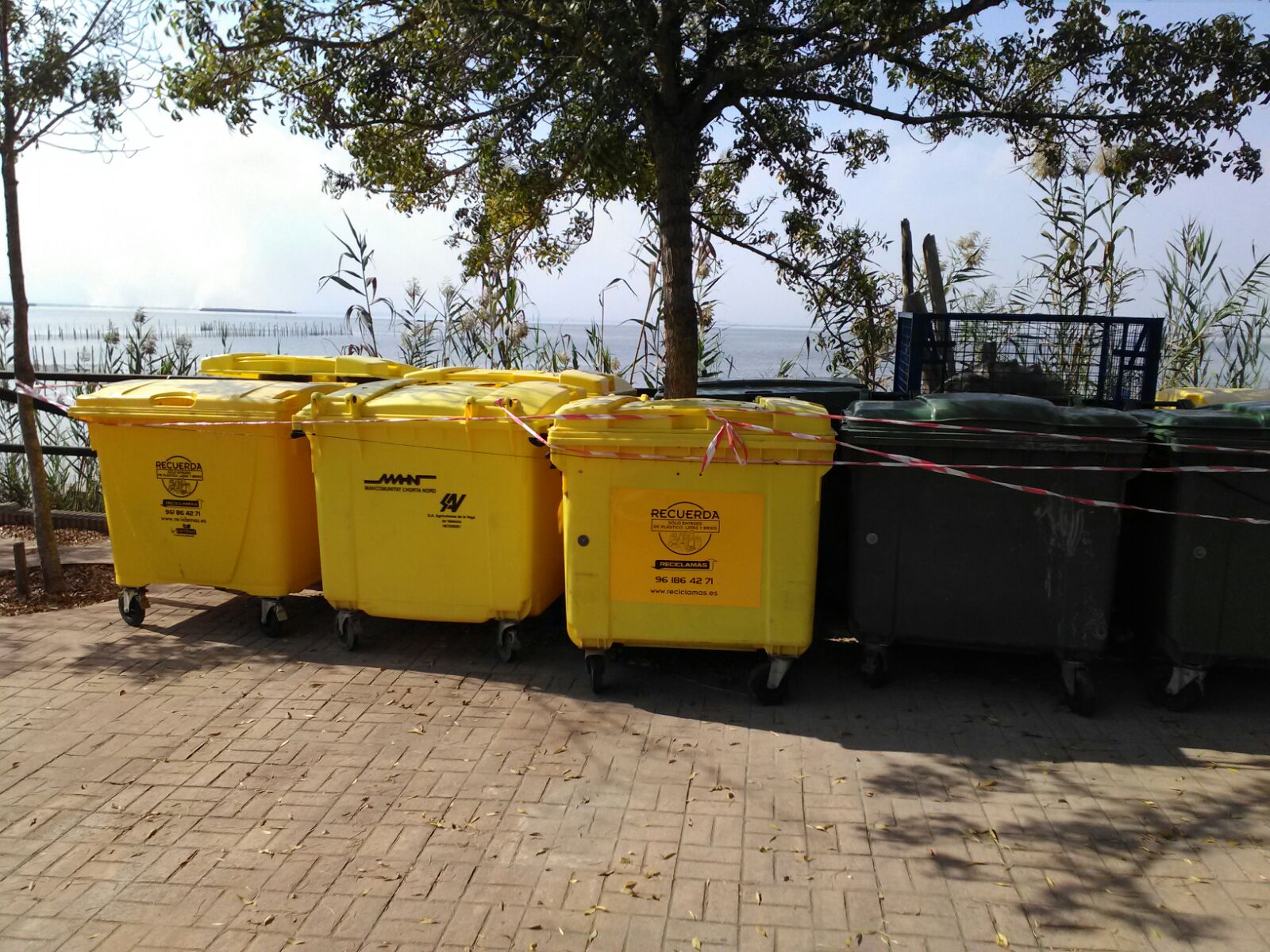 Recogida de residuos en la Albufera Reciclamás