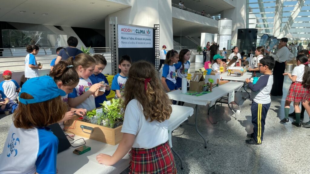 Los proyectos de los centros escolares fueron de gran nivel en 2026.